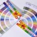 Cartela de Cores
